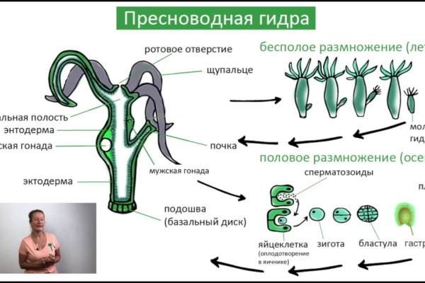 Kraken ссылка зеркало рабочее