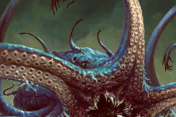Kraken forum