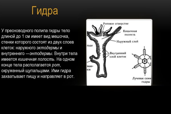 Ссылка кракен сайт зеркало